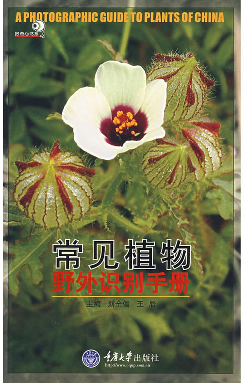 常见植物野外识别手册