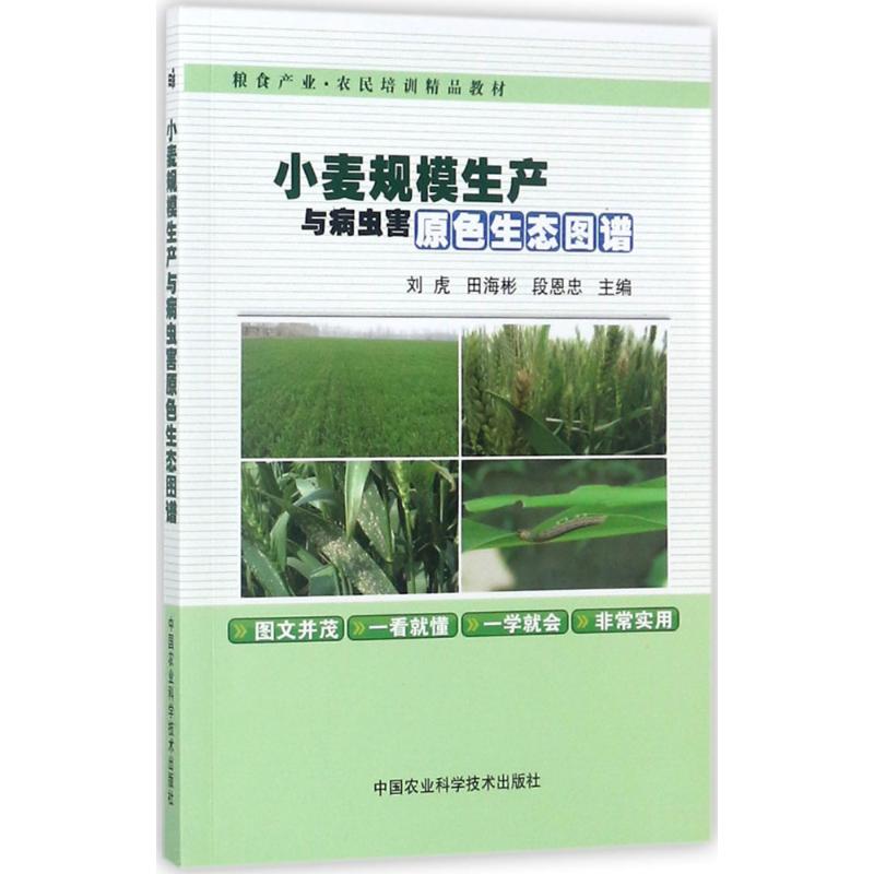小麦规模生产与病虫害原色生态图谱