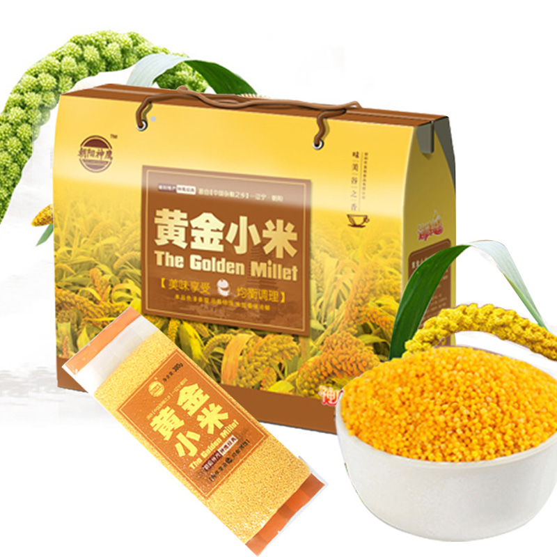 小黄米朱碌科黄金苗小米杂粮小米辽宁黄小米新米 黄金小米3800g礼盒装