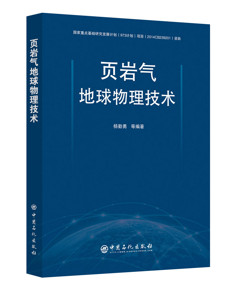 页岩气地球物理技术