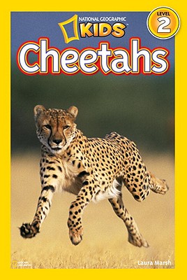 预售 CHEETAHS