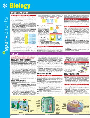 Biology Sparkcharts