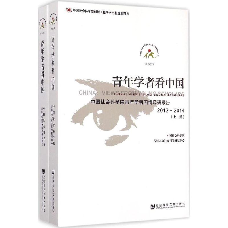 青年学者看中国