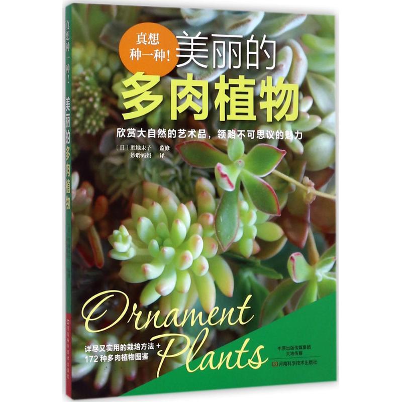 真想种一种!美丽的多肉植物