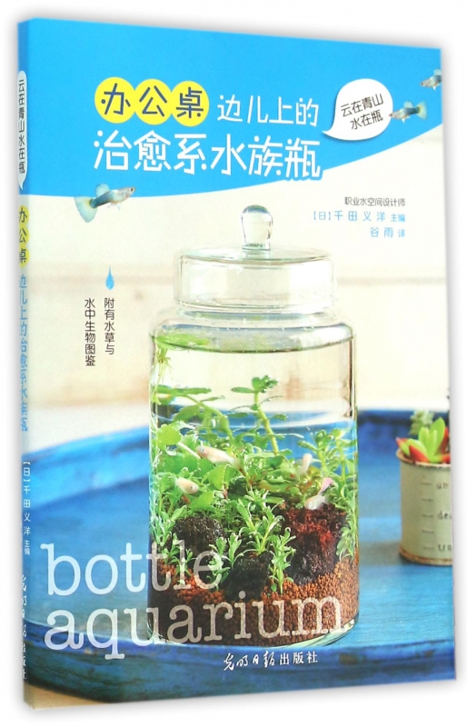 办公桌边儿上的治愈系水族瓶