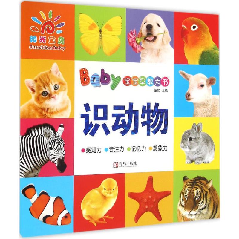 宝宝早教大书识动物 幼儿图书 早教书 儿童书籍