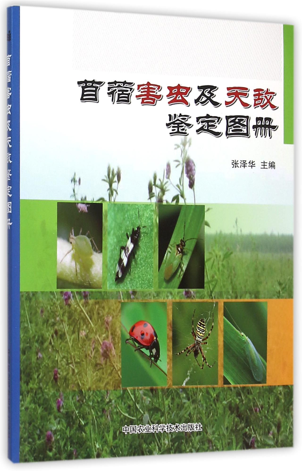 苜蓿害虫及天敌鉴定图册