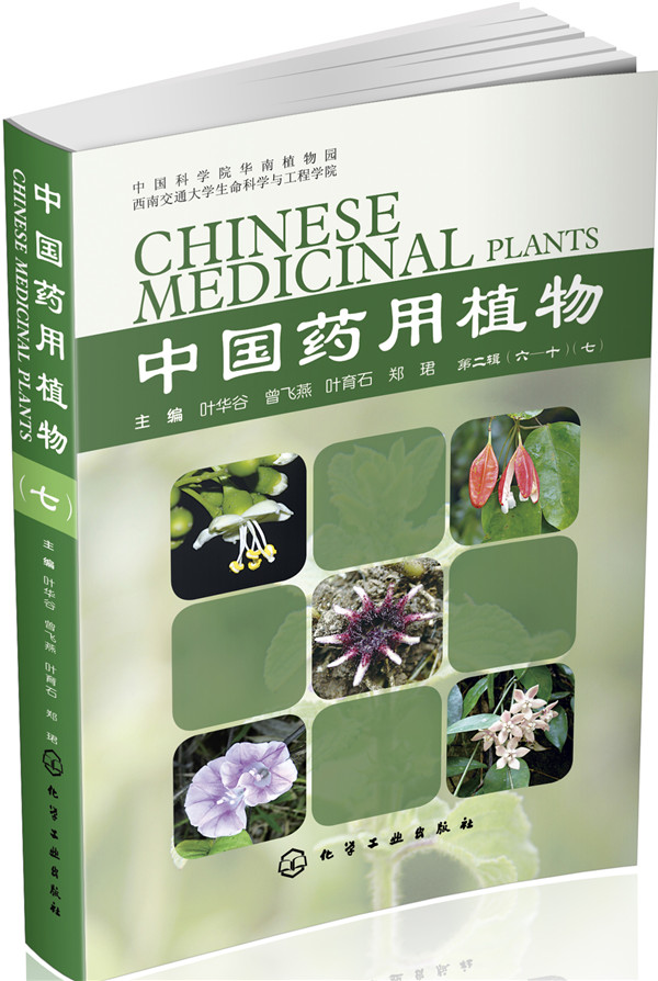 中国药用植物（七）