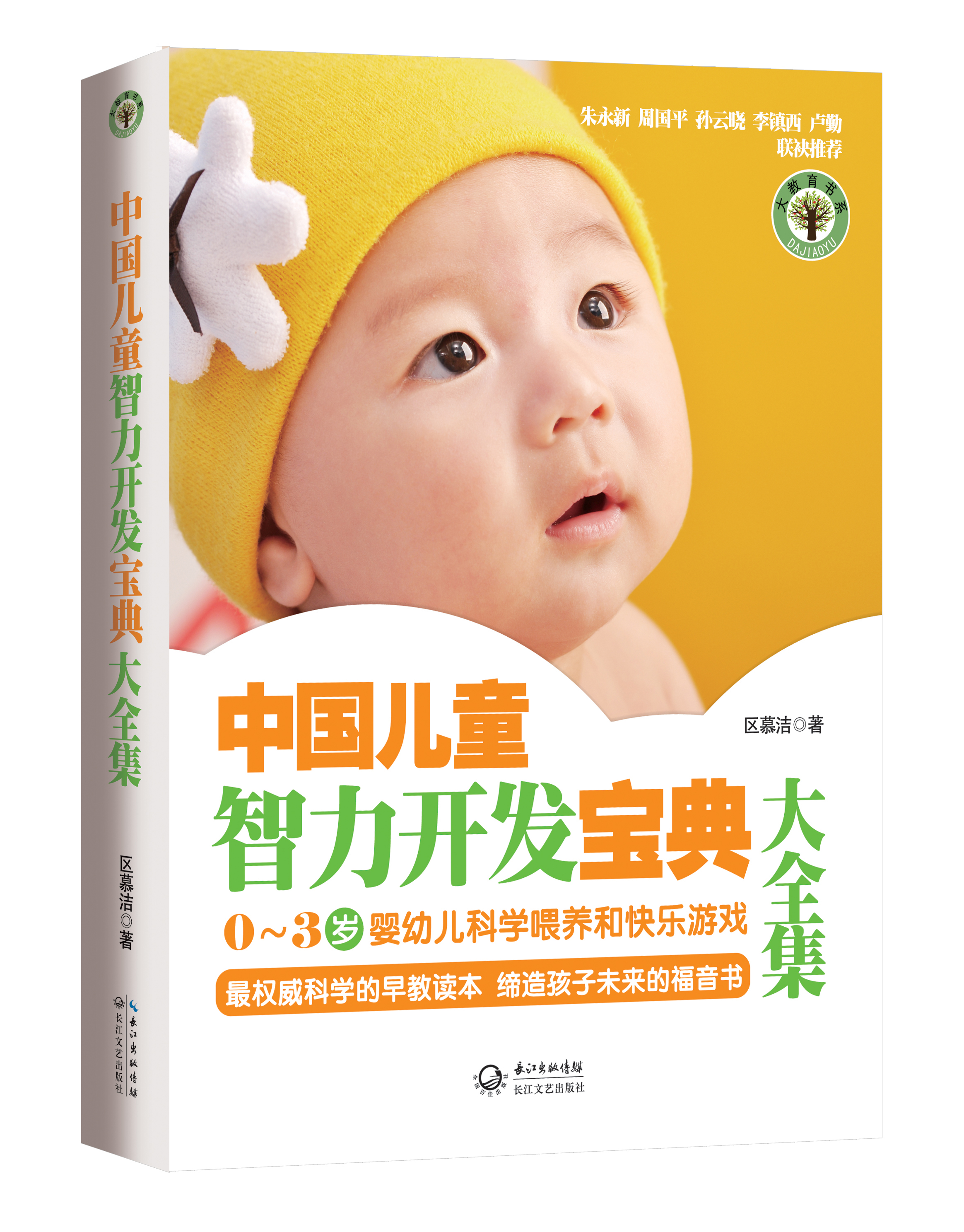 中国儿童智力开发宝典大全集：大教育书系