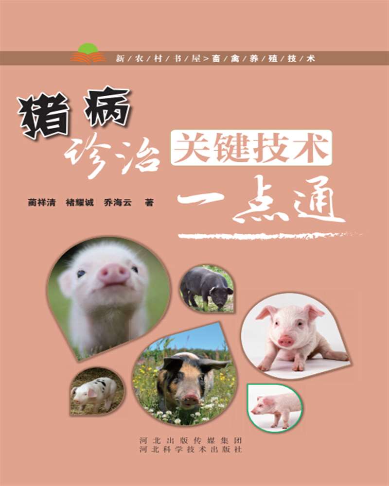 猪病诊治关键技术一点通
