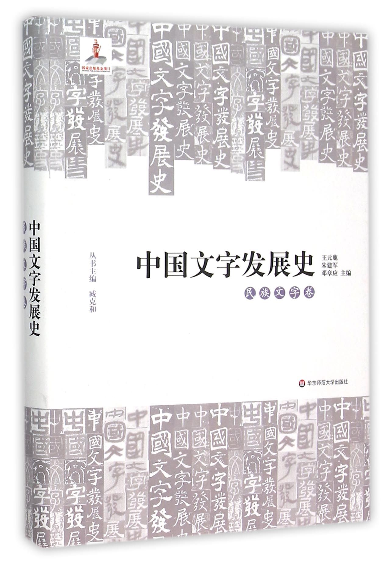 中国文字发展史(民族文字卷)(精)