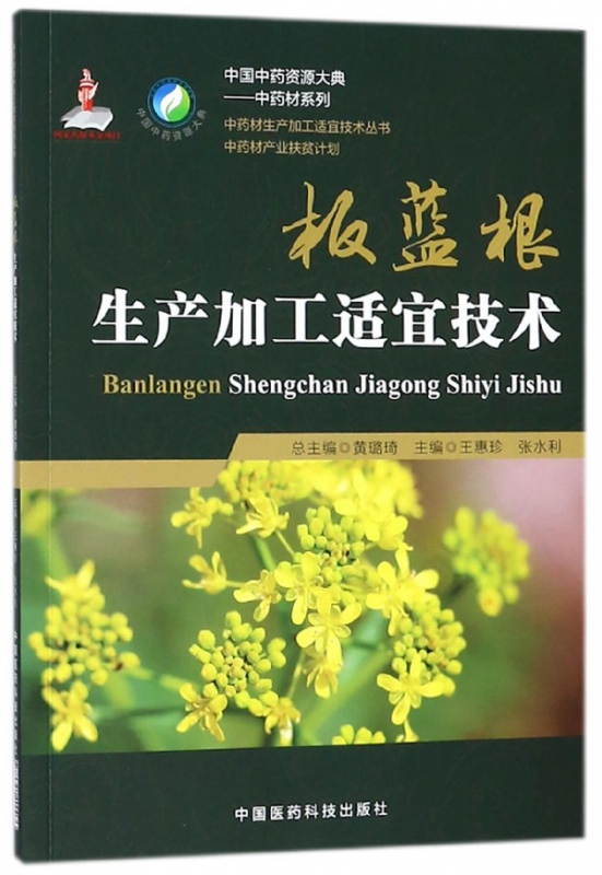 板蓝根生产加工适宜技术