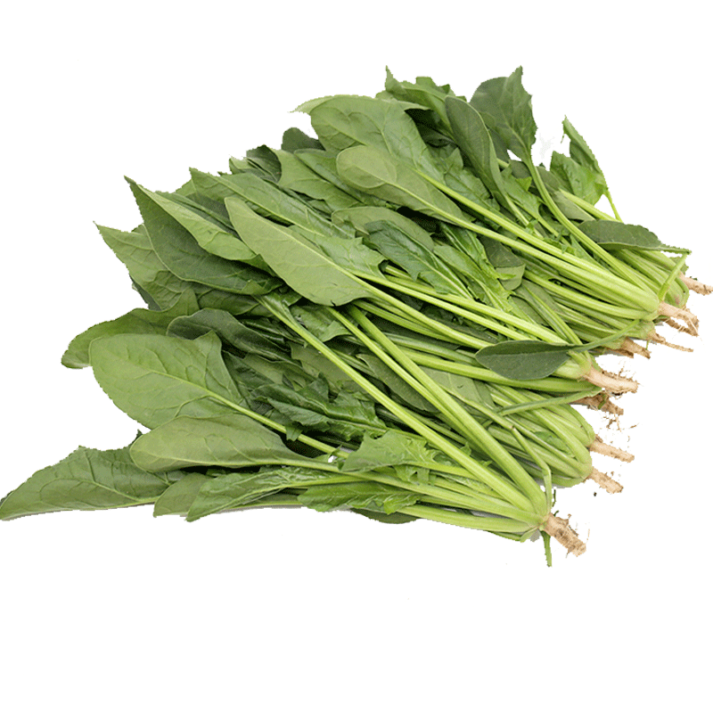 抢购!价格大跳水,立即选购!