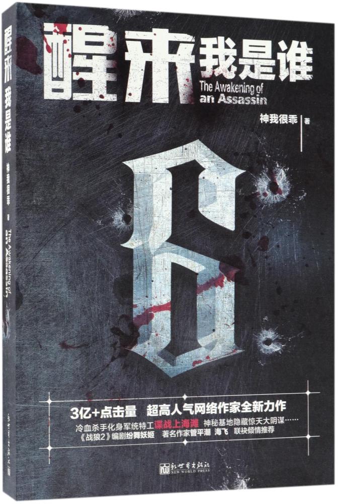 醒来：我是谁 小说 书籍