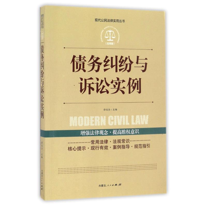 债务纠纷与诉讼实例