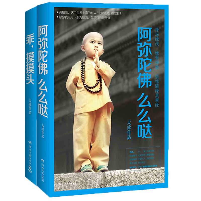 大冰新畅销作品 (套装共2册)