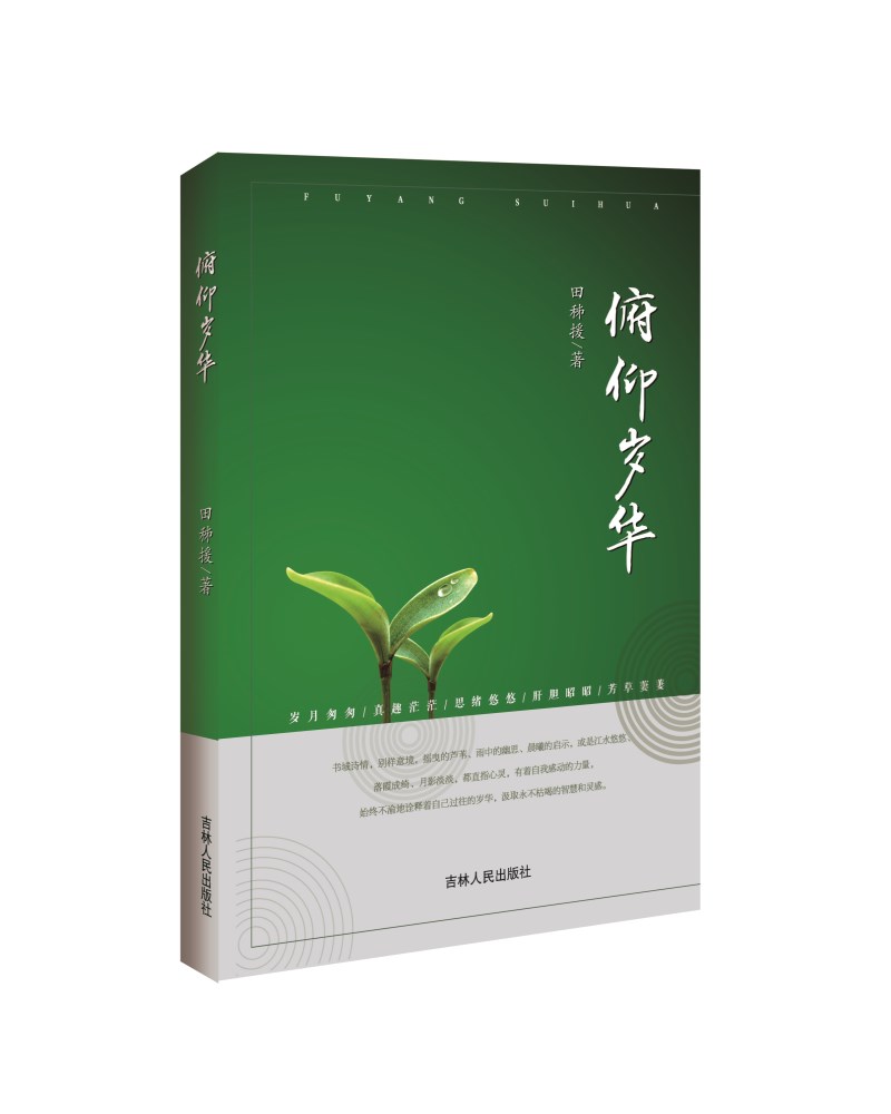 俯仰岁华