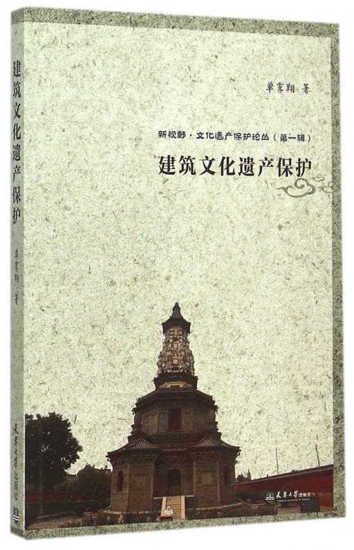 建筑文化遗产保护/新视野文化遗产保护论丛