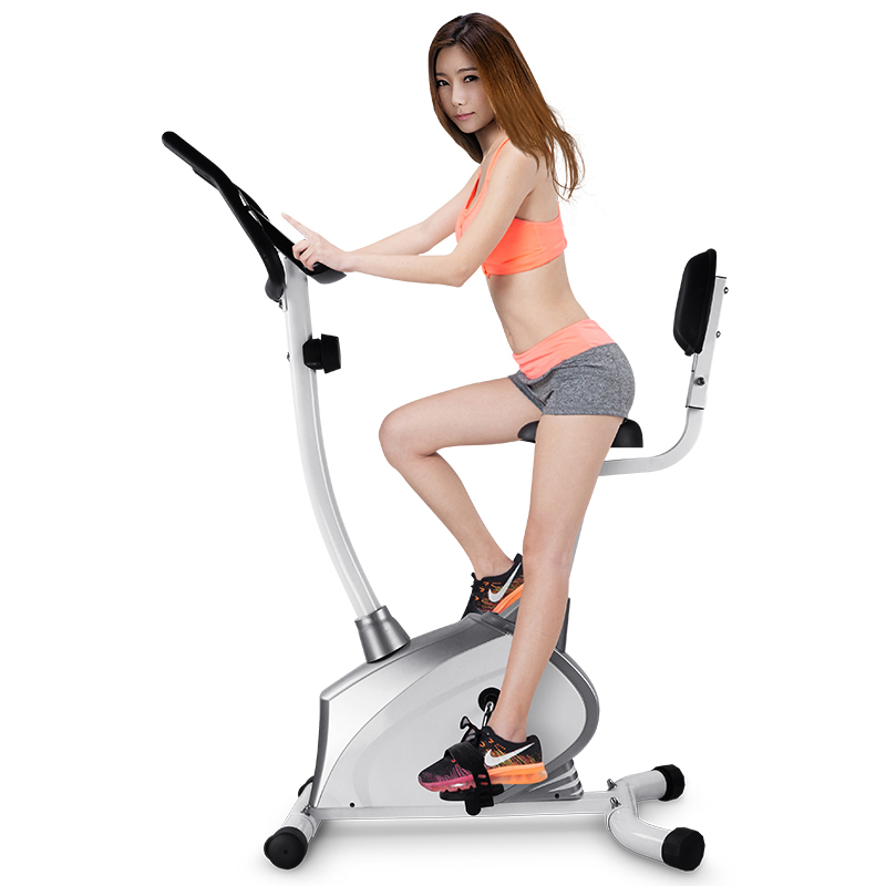 雷克 （LEIKE）家用动感单车静音健身单车磁控室内运动自行车健身锻炼器材 BC600C白色