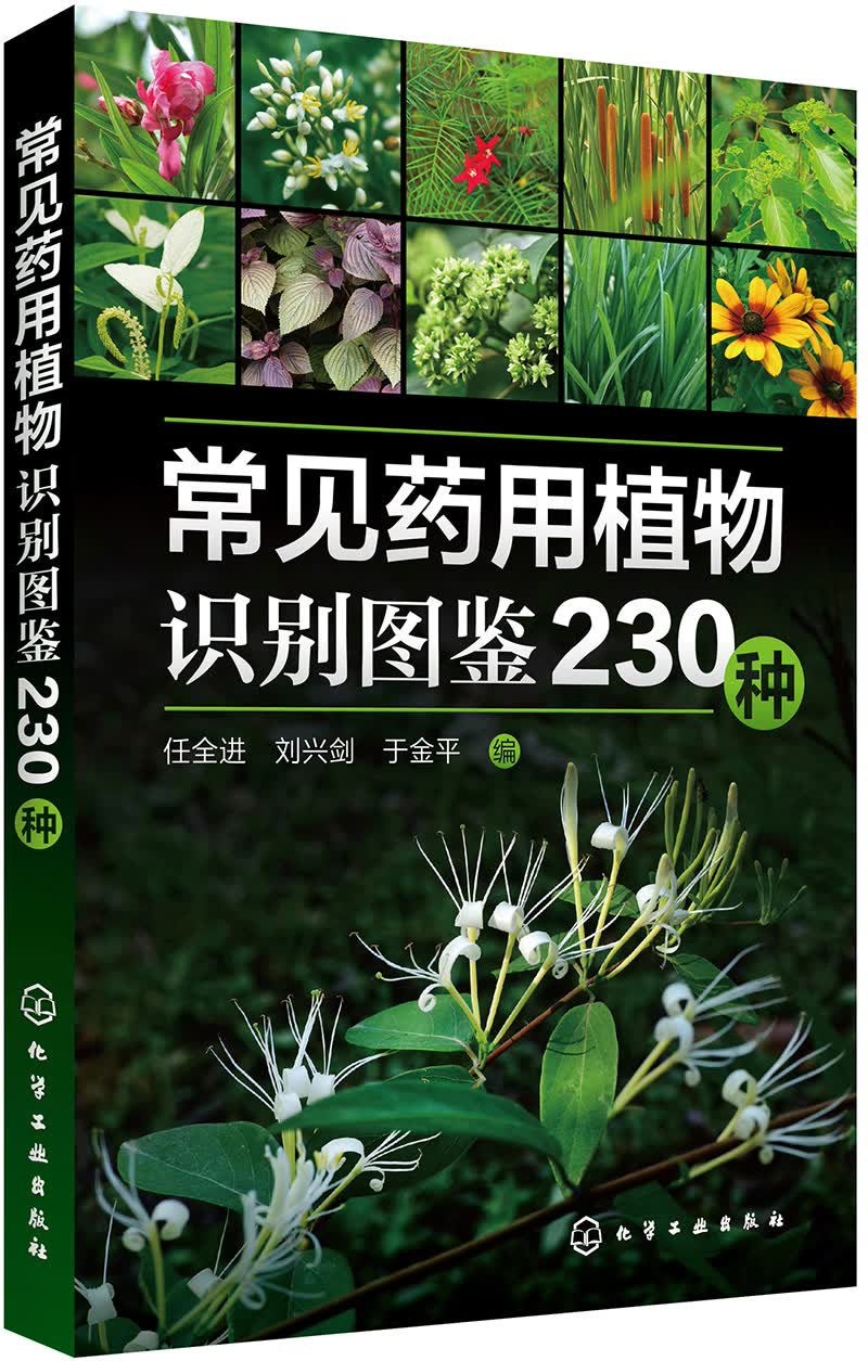 常见药用植物识别图鉴230种