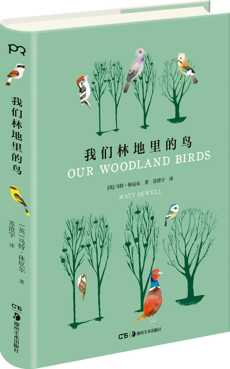 我们林地里的鸟