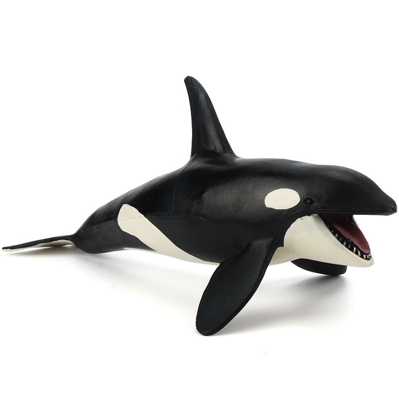 动物模型套装仿真鲨鱼海豚海狮男孩女孩早教认知摆件玩具礼物 虎鲸
