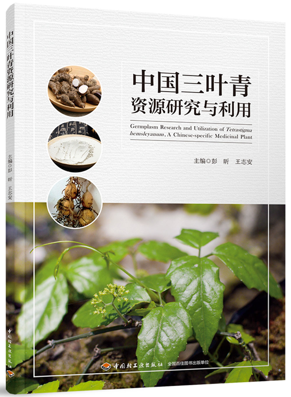 中国三叶青资源研究与利用