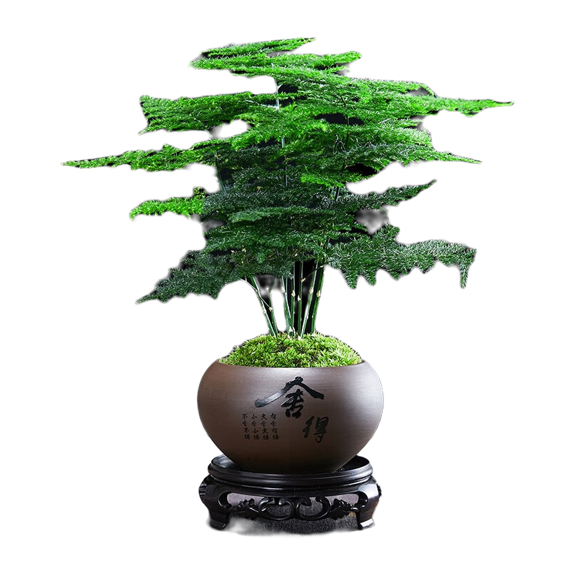 ��ޱ �������� ����