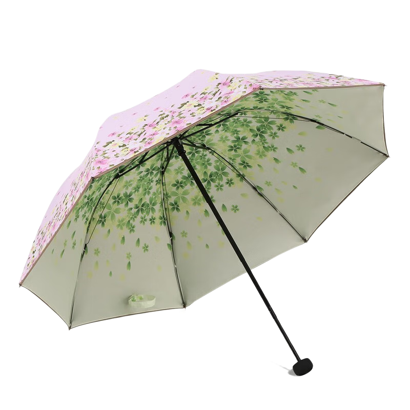 ڲɡСºڽ˫ɹ̫ɡŮɡɡ۵ɡ -ۿ59Ԫ