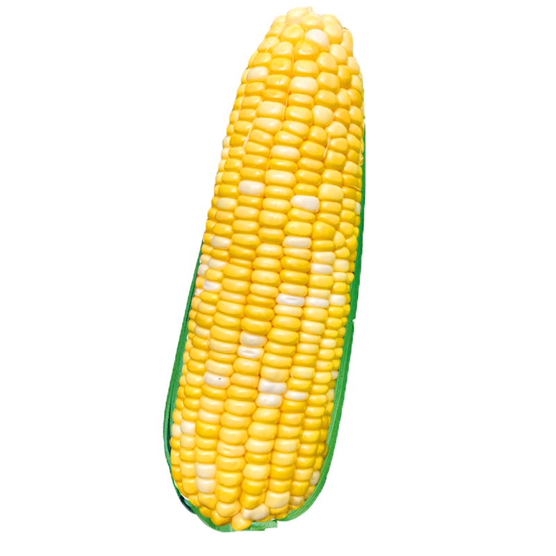 ��������˫ɫˮ�������������������������ش��ͺ����ļ���Ŵ����ճ�� ����89����100�ˡ������ס� 82.8Ԫ��2��(��41.4Ԫ/��)