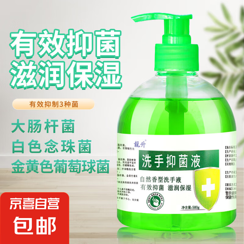 【日销爆款】龍升芦荟抑菌洗手液500ML装抑菌润肤护手持久留香 芦荟抑菌洗手液500g*1瓶