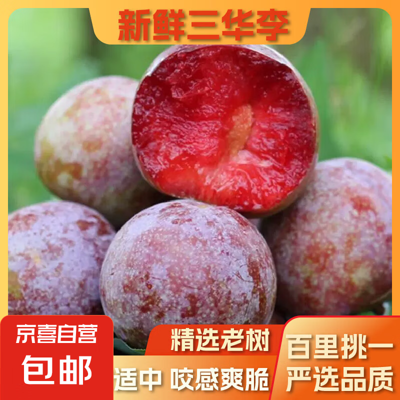 ��������������ˮ���������ӵ�����������и�ˮ���ؼ�������ֱ�� ����3��