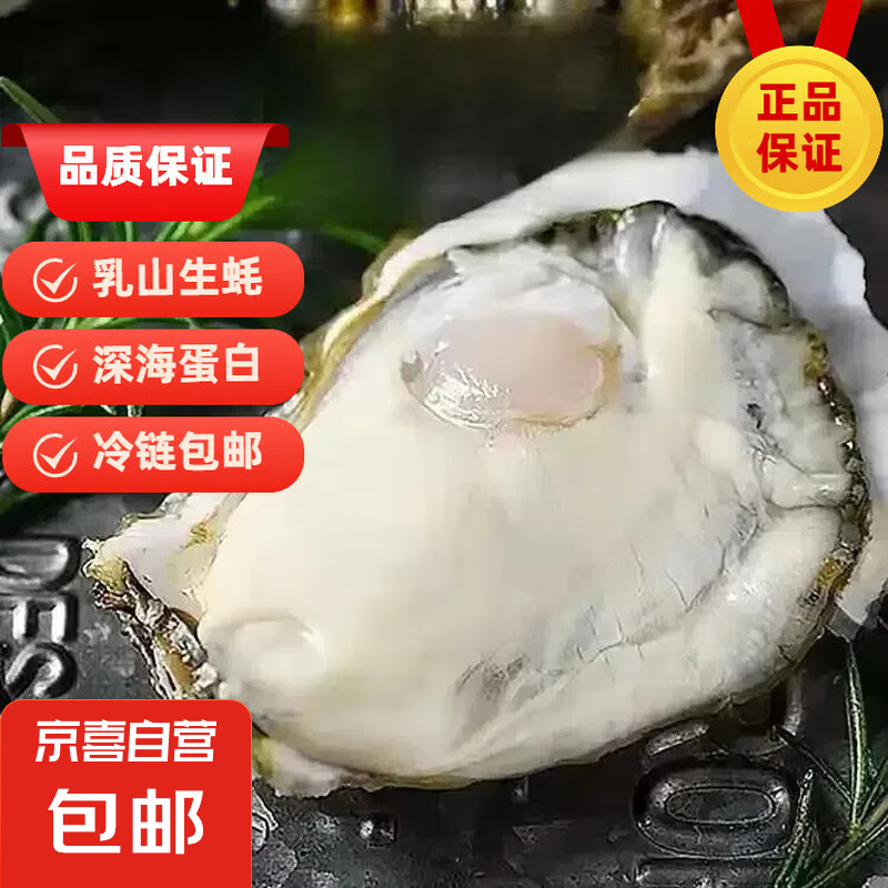乳山生蠔 乳山牡蠣 特大超大海蠣子刺身 即食貝類海鮮5斤乳山源頭 帶箱10斤6XL【每個(gè)約300-350g】肉大鮮美
