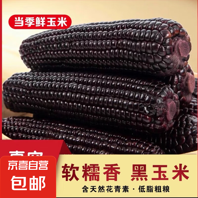 新鲜真空软糯拉丝生鲜食品甜糯黑玉米150g-220g 黑糯玉米5根