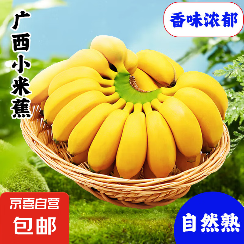 ������ժ�㽶С�׽���Ƥ�������������ˮ�� С�׽� 5��