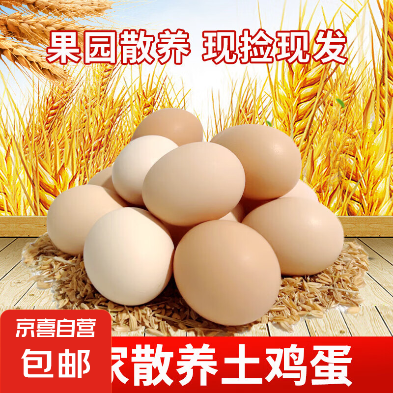 工厂专用河南新鲜现捡土鸡蛋50g正负5g/枚纸箱早餐生鲜溏心蛋包邮 10枚