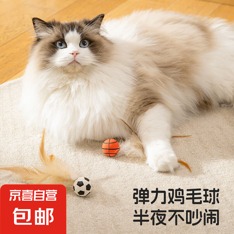 �������|è��ߵ��������˽���������è���¿��˶������ë��Ʒ ��ë����������+����+����