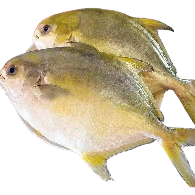 䶳㡾400-500g20-30%£3һ 1 26.33Ԫ