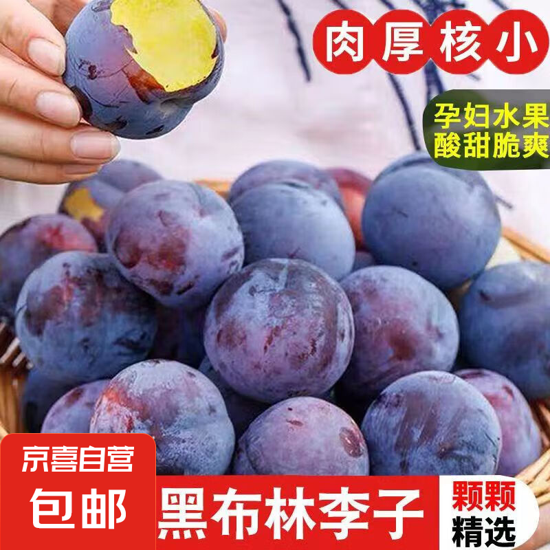 新鲜黄肉黑布林李子酸甜多汁现摘现发果园直供 2斤黑布林小果【试吃装】 中果【60g--80g】收到催熟