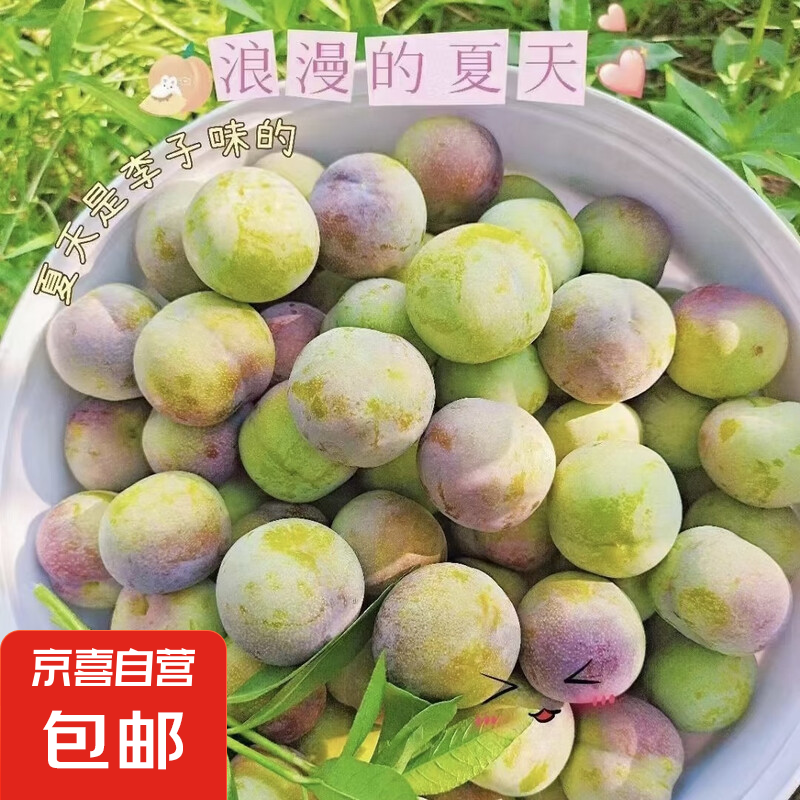 四川半边红脱骨李