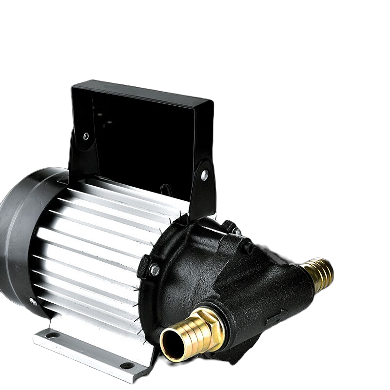 灼濛電動(dòng)抽油泵機(jī)油液壓油齒輪油便攜式吸油泵12V24V220V自吸泵 大功率220V齒輪泵+配件