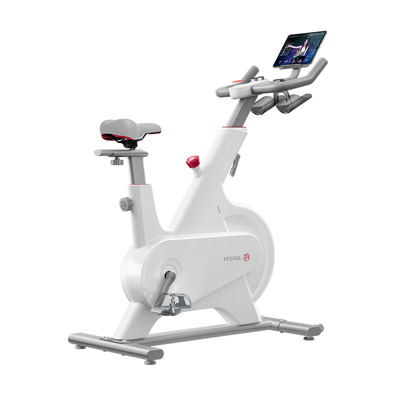 YESOUL 野小兽 动感单车家用自发电磁控运动健身器材室内静音自行车M1 2023新升级M1P-