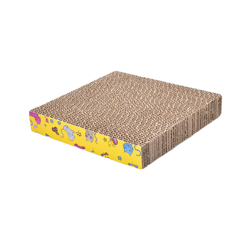 ��ֻ����èץ�彣��èץ����ʽ��è���ĥצ����ĥè������è����Ʒ èץ�塾�����Ρ���С�ʺ���è �޹��