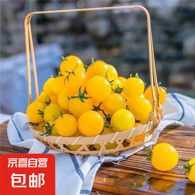 ��������С���ѻ�ɫʥŮ��ǧ��ӣ��ˮ��С���� 1��