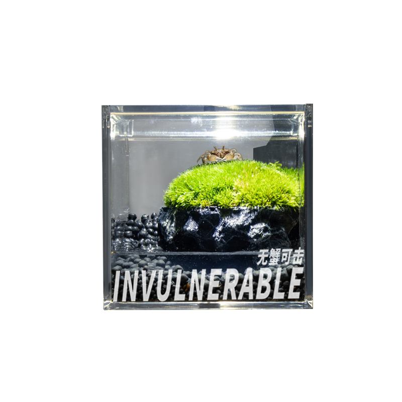 зɻ̦޺΢̬ƿDIY칫Сֲз зɻзף