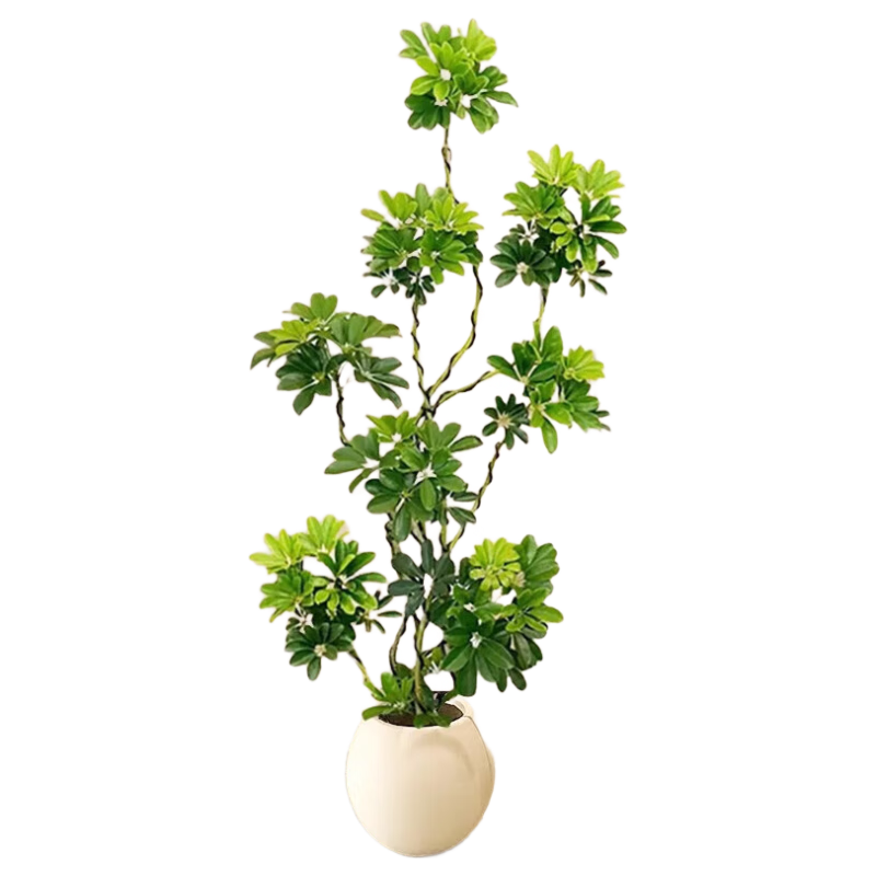 ֲֲŮѼľ԰˷شֲDIYԴͷֱ