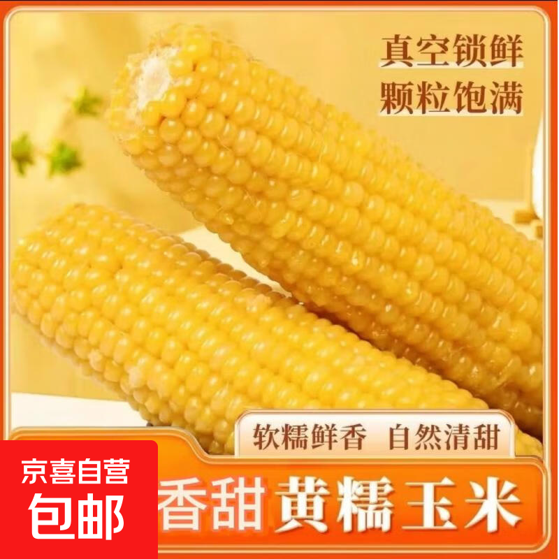 新鲜黄糯玉米真空包装速食玉米软糯香甜代餐140g-180g 8根装