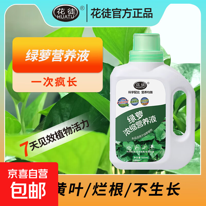 绿萝营养液肥料专用肥植物盆栽绿箩营业液花肥料家用土水培养花用 绿萝专用营养液*1瓶