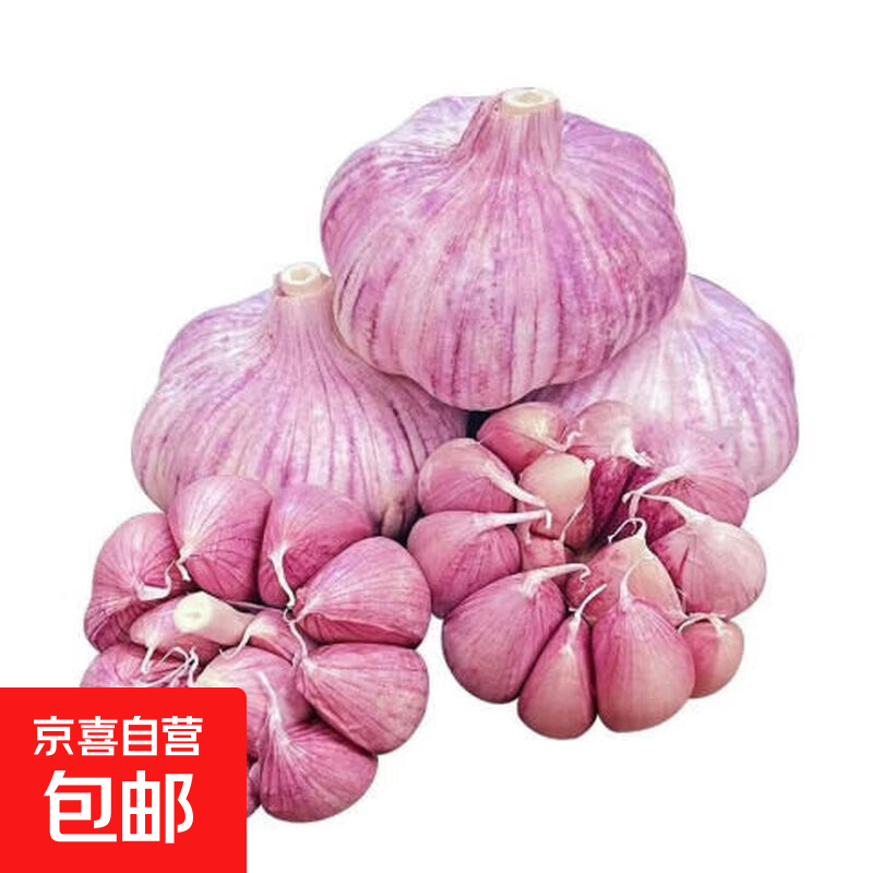山东金乡干蒜大蒜多瓣大蒜紫皮蔬菜批发产地直发 山东金乡大蒜中果【4-5mm】 3斤