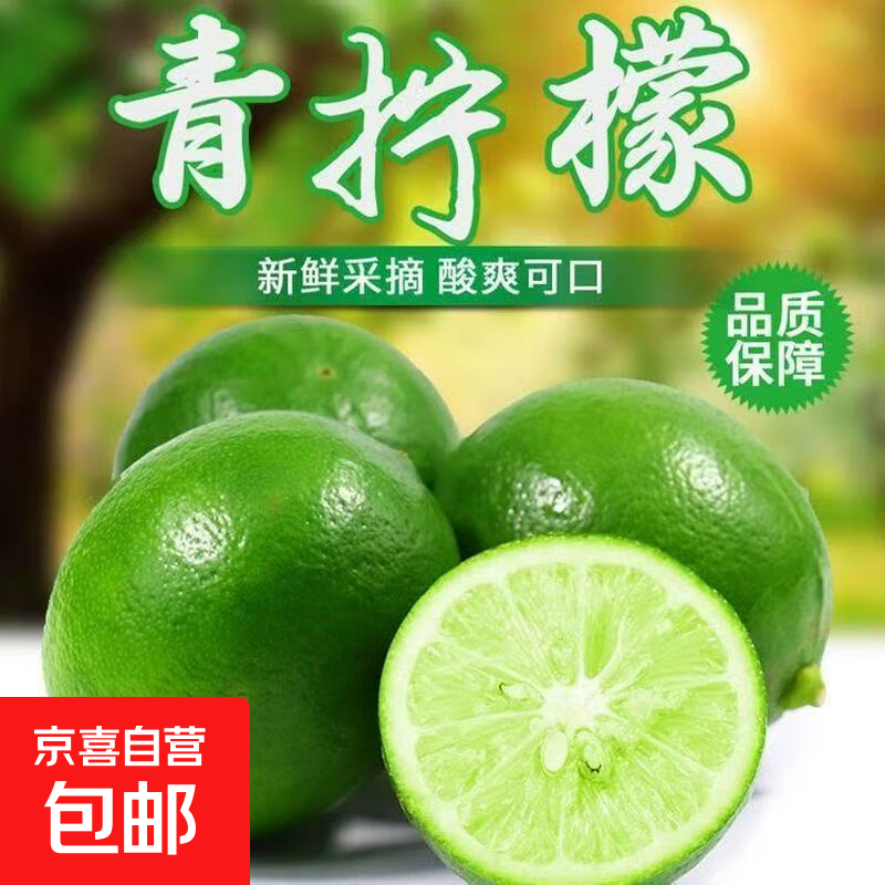 【独立包装】新鲜现摘青柠檬非无籽柠檬茶饮搭档 单果80克 青柠檬3粒装